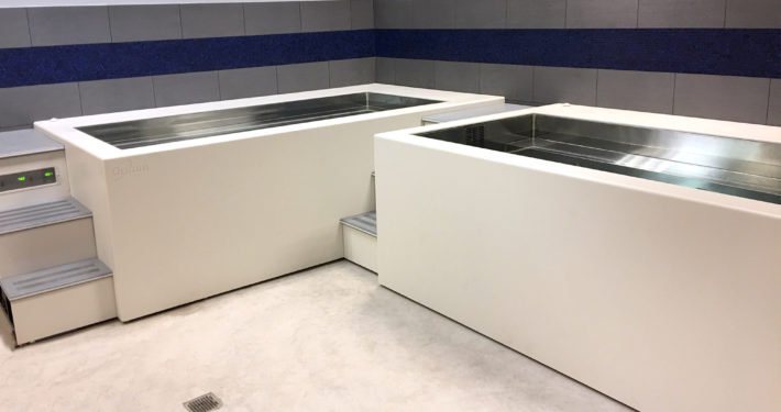 Georgia State Football model 4164