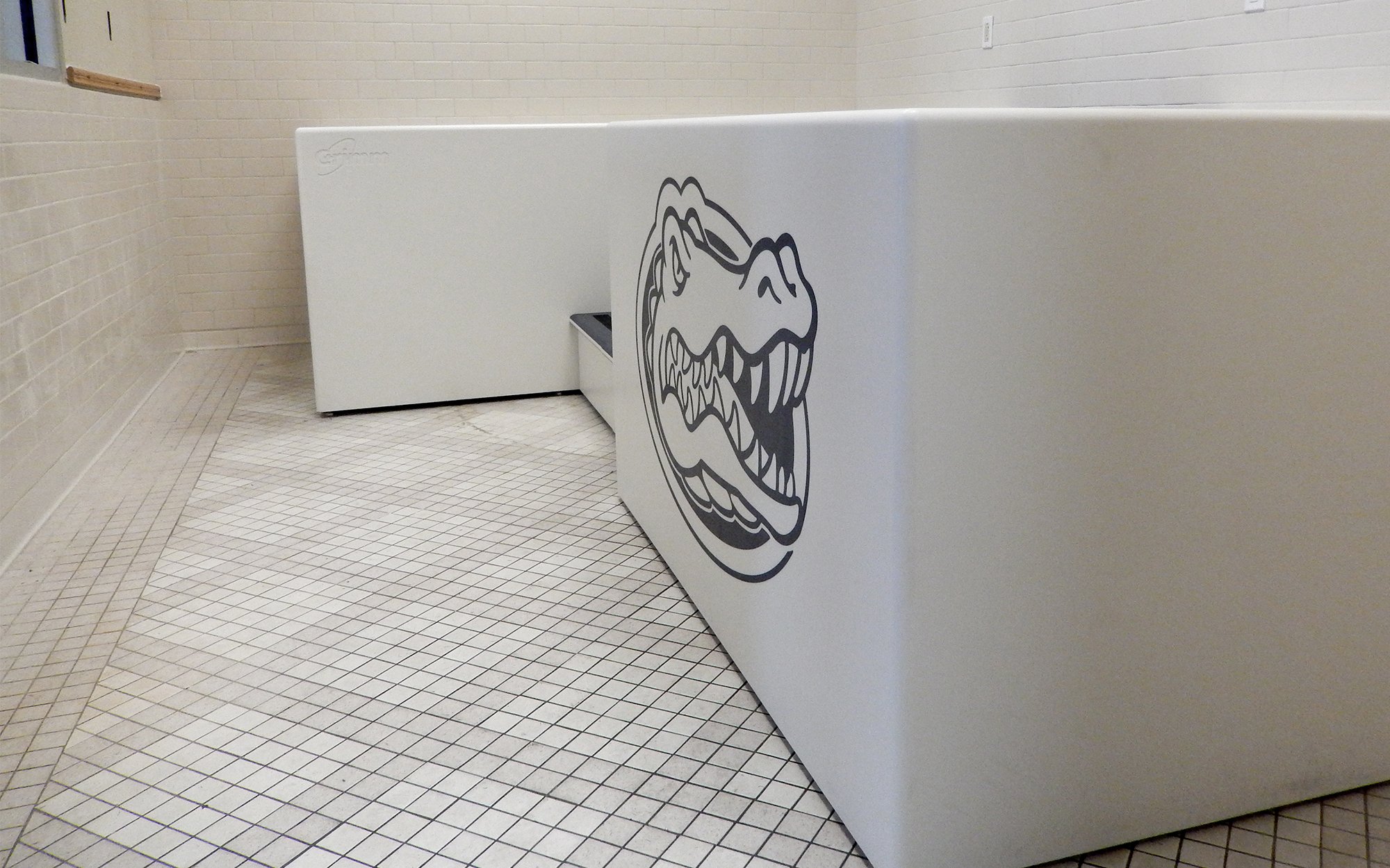 Model 4119 - Women's Lacrosse